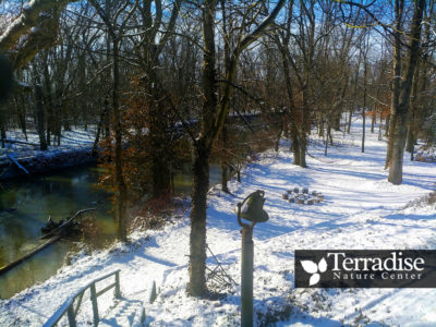 Terradise Nature Center 
Feb. 2020
