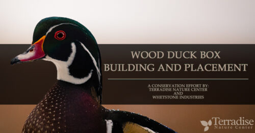 Wood Duck Box Banner