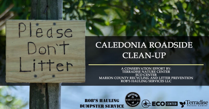 Caledonia Clean-up